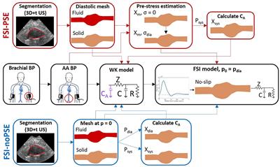 Ultrasound-Based Fluid-Structure Interaction Modeling of Abdominal Aortic Aneurysms Incorporating Pre-stress